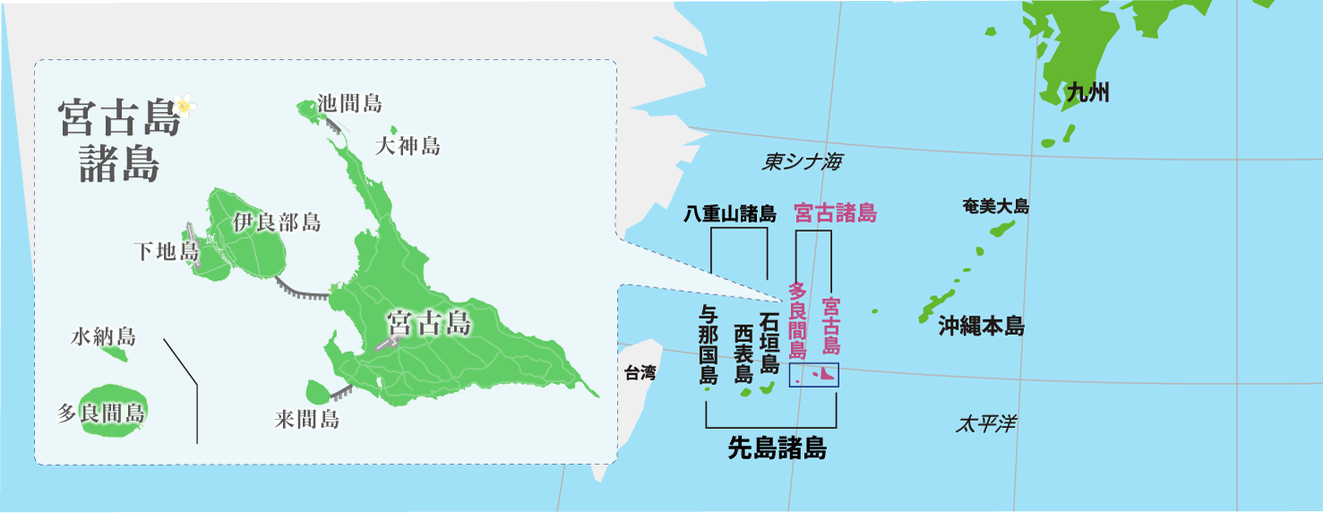 基本情報