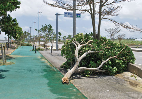 台風に遭遇してしまったら 画像2