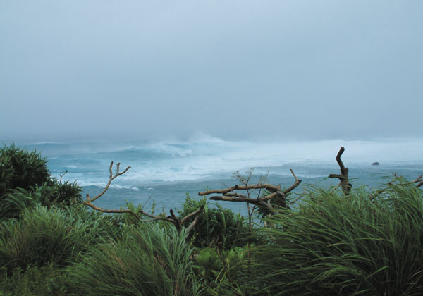 台風に遭遇してしまったら 画像3