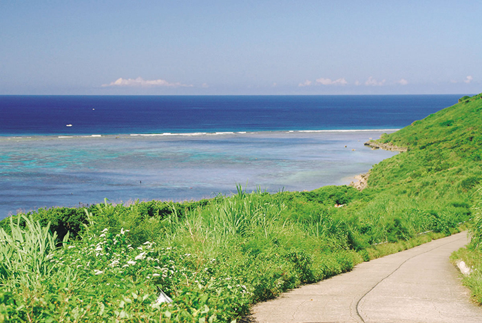 新城海岸