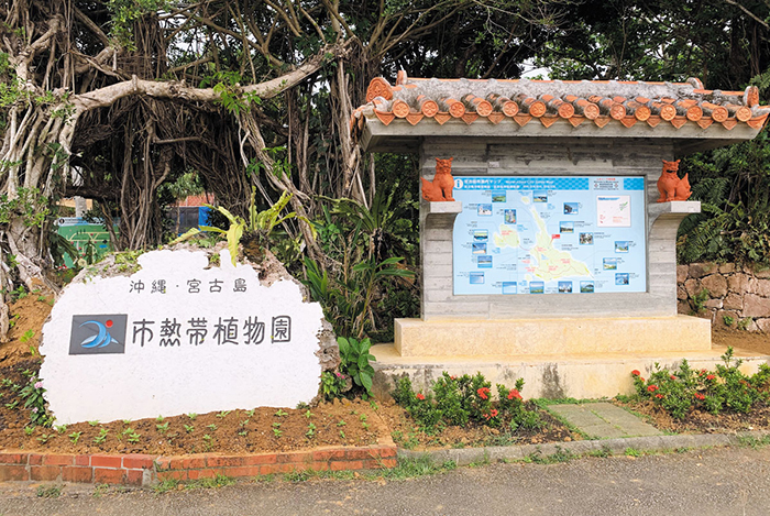 宮古島市熱帯植物園