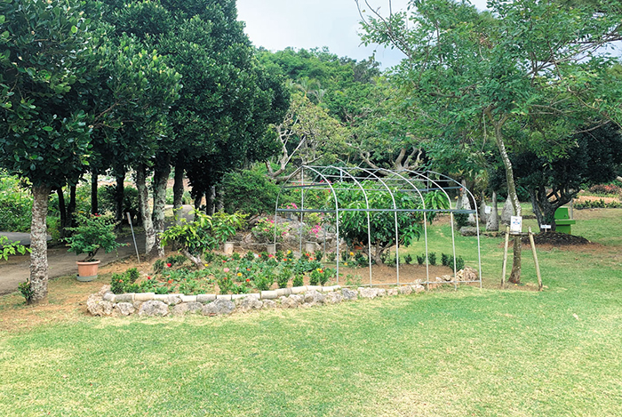 宮古島市熱帯植物園