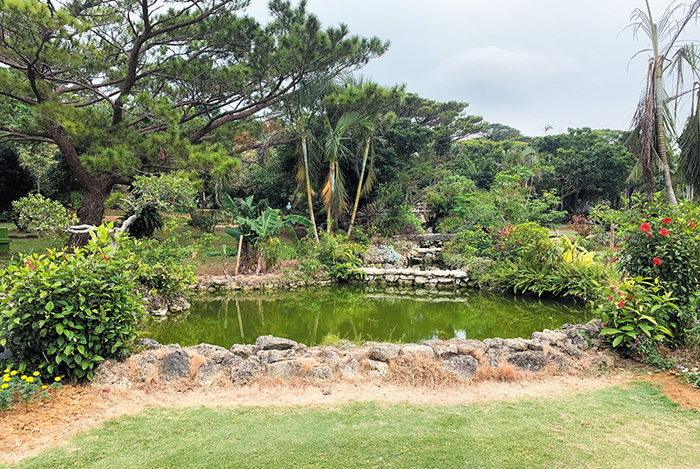 宮古島市熱帯植物園