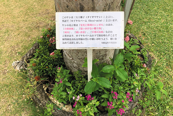 宮古島市熱帯植物園