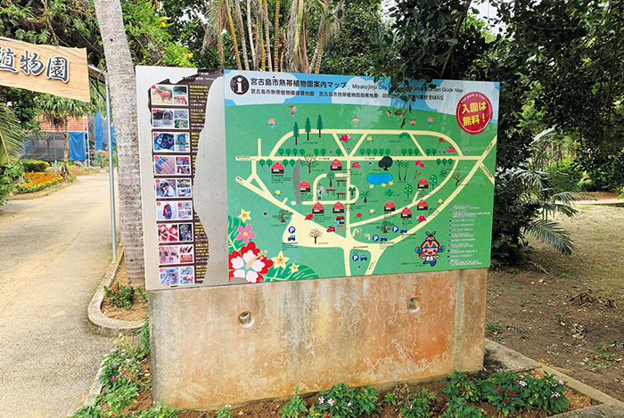 宮古島市熱帯植物園