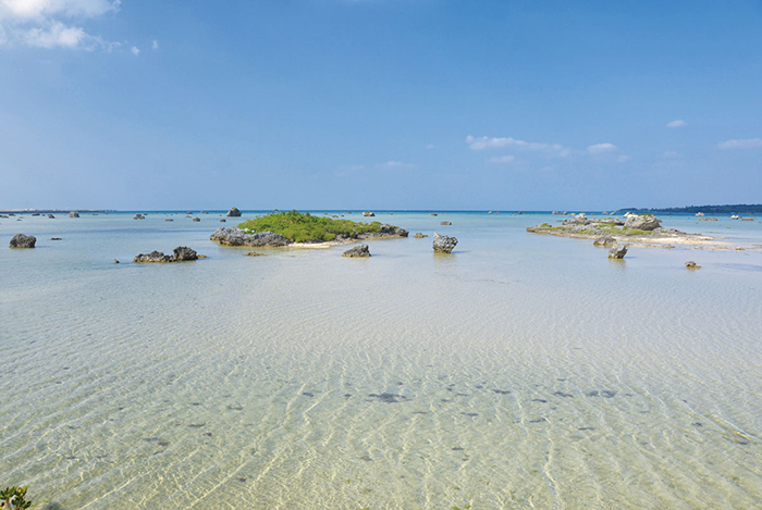 佐和田の浜