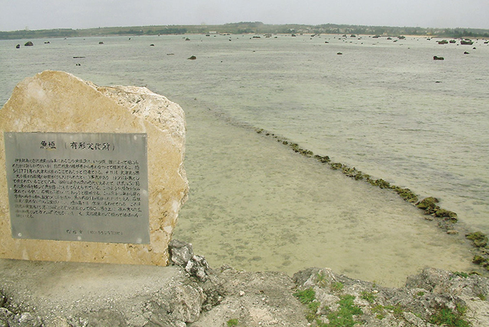 佐和田の浜