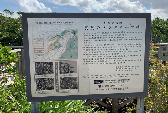 島尻マングローブ 宮古島の観光ガイド 宮古島ねっと