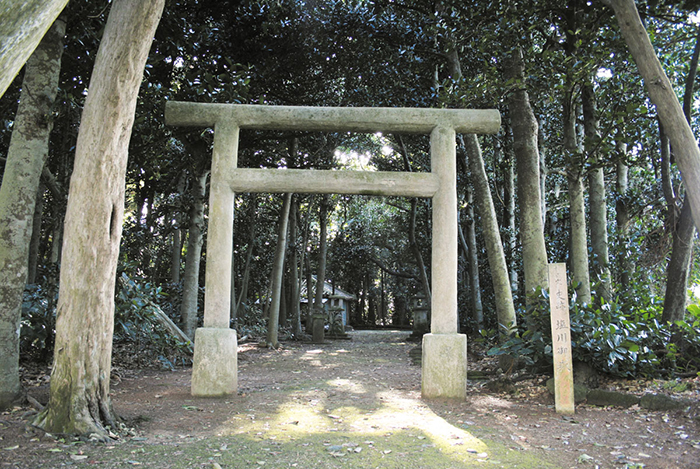 塩川御嶽とフクギ並木