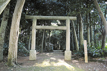 塩川御嶽とフクギ並木